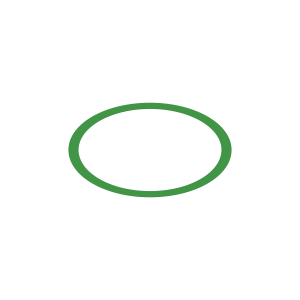 Image of R58255
