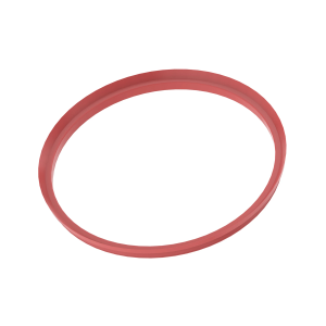 V-Ring Seal