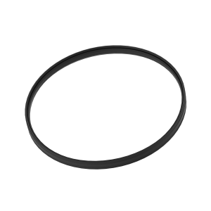 V-Ring Seal