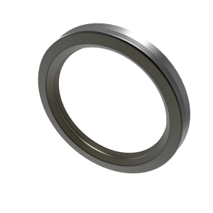 N302444: Internal Oil Seal