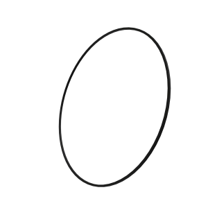 Sealing Ring
