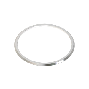 V-Ring Seal
