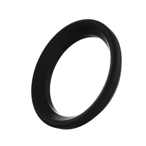 Image of T451272