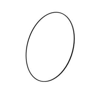 Sealing Ring
