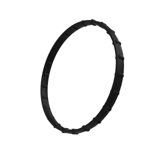 Sealing Ring