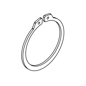 V-Ring Seal