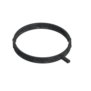 Image of R528498