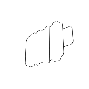 Sealing Ring