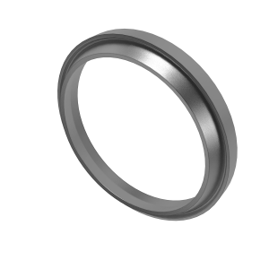 N302445: Internal Oil Seal