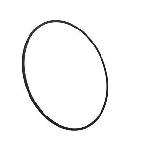 Sealing Ring