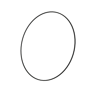 Image of R125667