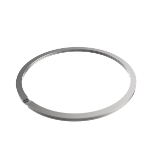 Sealing Ring