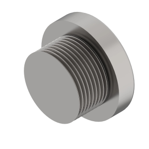 Fitting Plug