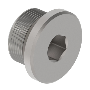 Fitting Plug