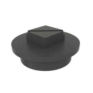 Fitting Plug