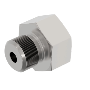 Fitting Plug