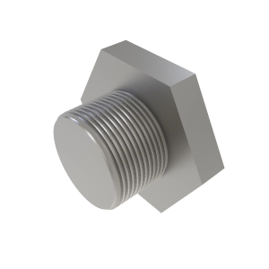Fitting Plug