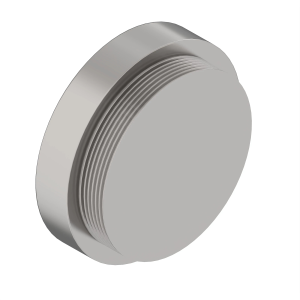 Fitting Plug