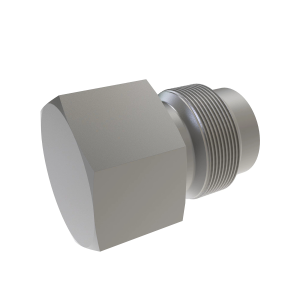 Fitting Plug