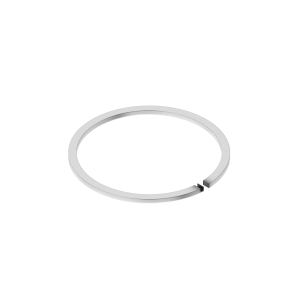 Sealing Ring