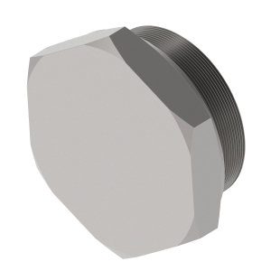 Fitting Plug