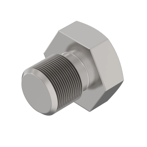 Fitting Plug