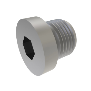 Fitting Plug