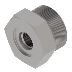 Fitting Plug