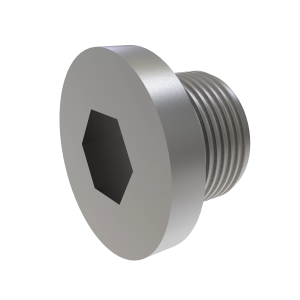 Pipe Plug