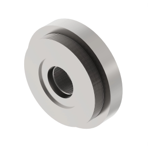 Fitting Plug