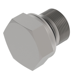 Fitting Plug