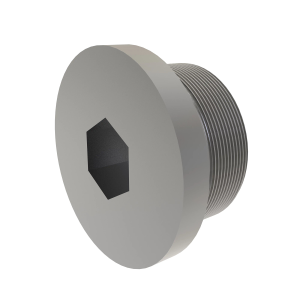 Fitting Plug