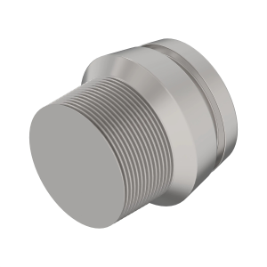 Fitting Plug