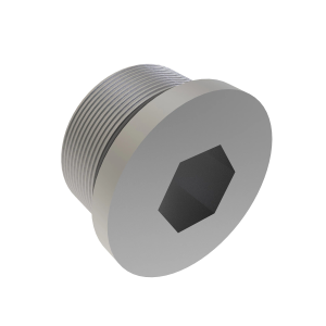 Fitting Plug