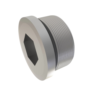 Fitting Plug