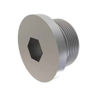 Fitting Plug