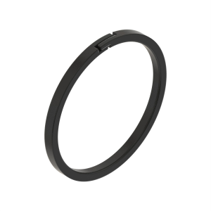 Sealing Ring