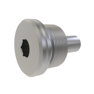 Fitting Plug