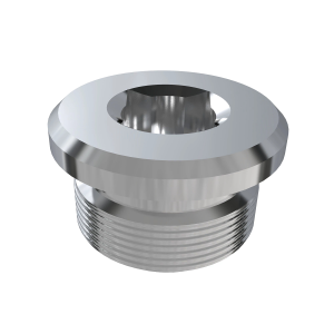 Fitting Plug