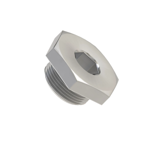 Fitting Plug