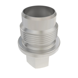 Fitting Plug