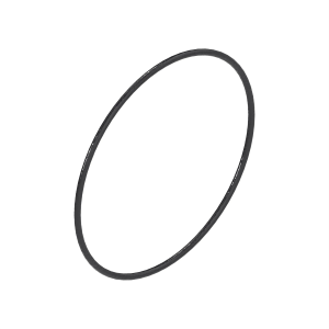 Sealing Washer