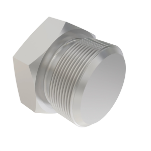Fitting Plug