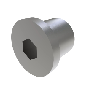 Fitting Plug