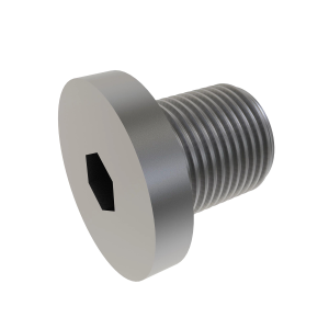 Drain Plug
