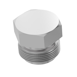 Fitting Plug