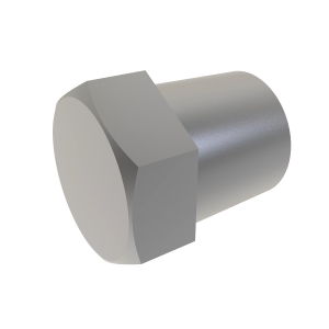 Pipe Plug