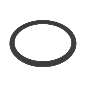N313918: O-Ring
