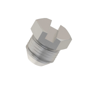 Fitting Plug