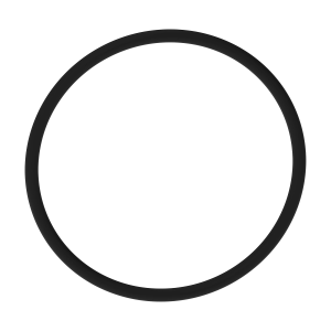 O-Ring
